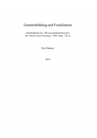 Gesteinsbildung Fossilisation